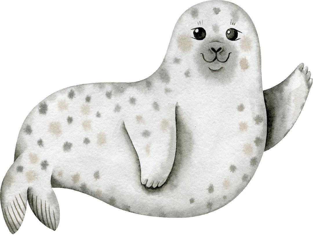 Cartoon Seal Wall Decal Removable Fabric Wall Sticker | DecalBaby