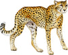 Load image into Gallery viewer, Cheetah #3 Wall Decal Safari Animal Removable Fabric Wall Sticker | DecalBaby