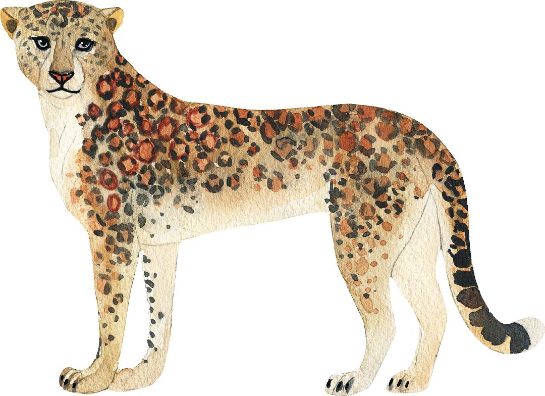 Leopard Wall Decal Safari Animal Removable Fabric Wall Sticker | DecalBaby