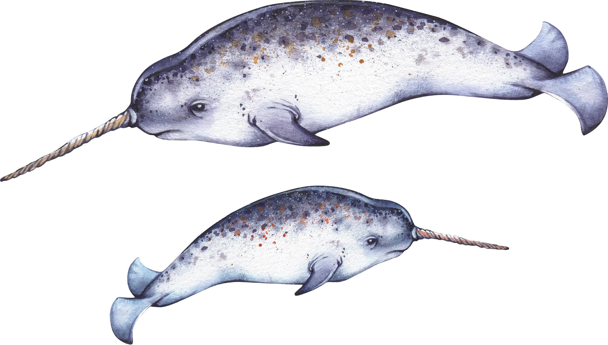Mother & Baby Narwhal Wall Decal Set of 2 Removable Fabric Vinyl Wall Stickers