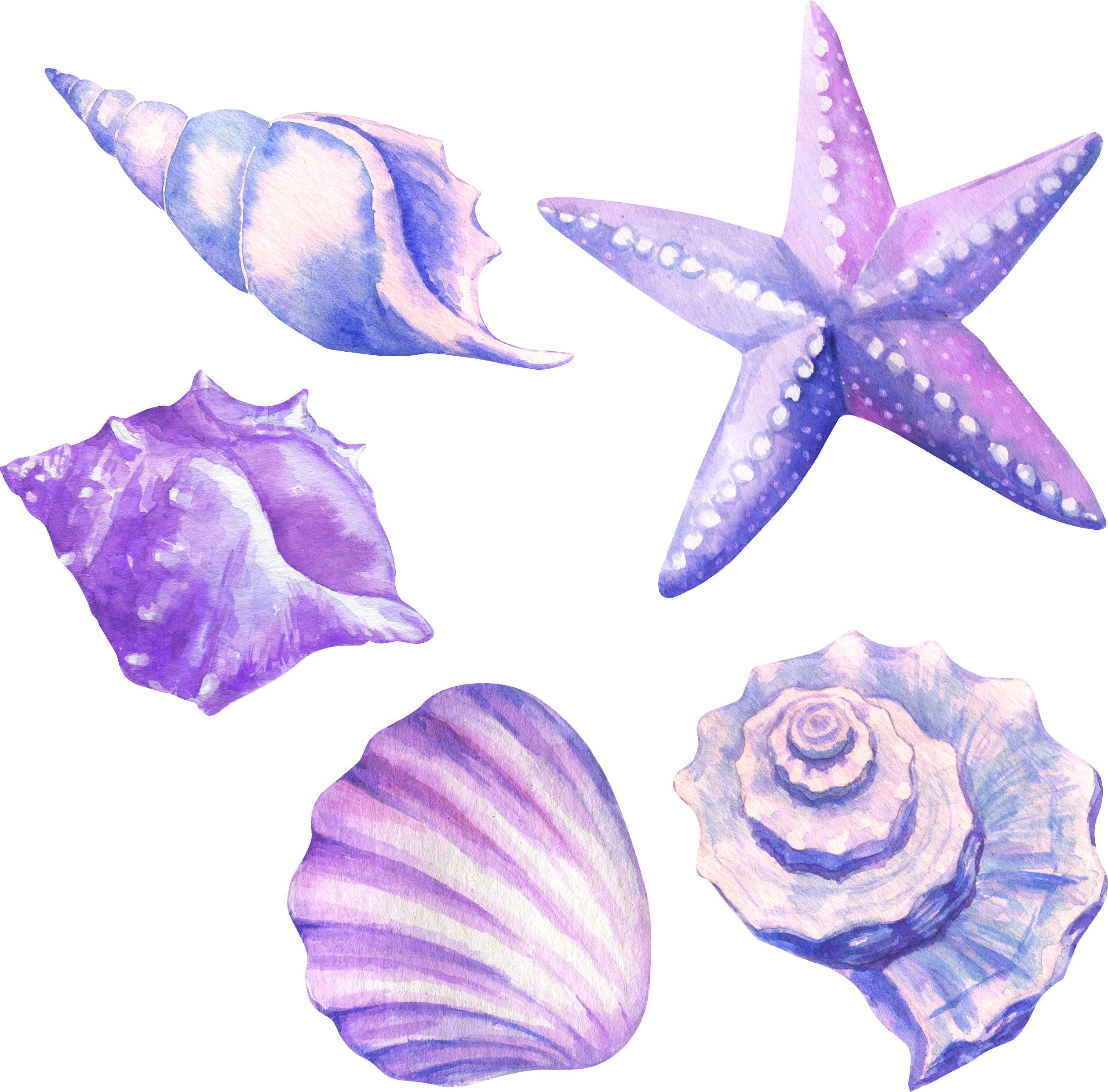 Watercolor Purple Seashells & Starfish Set Wall Decal Set of 5 Ocean Sea Life Removable Fabric Wall Sticker | DecalBaby