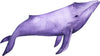 Watercolor Purple Whale Wall Decal Removable Sea Animal Fabric Vinyl Wall Sticker