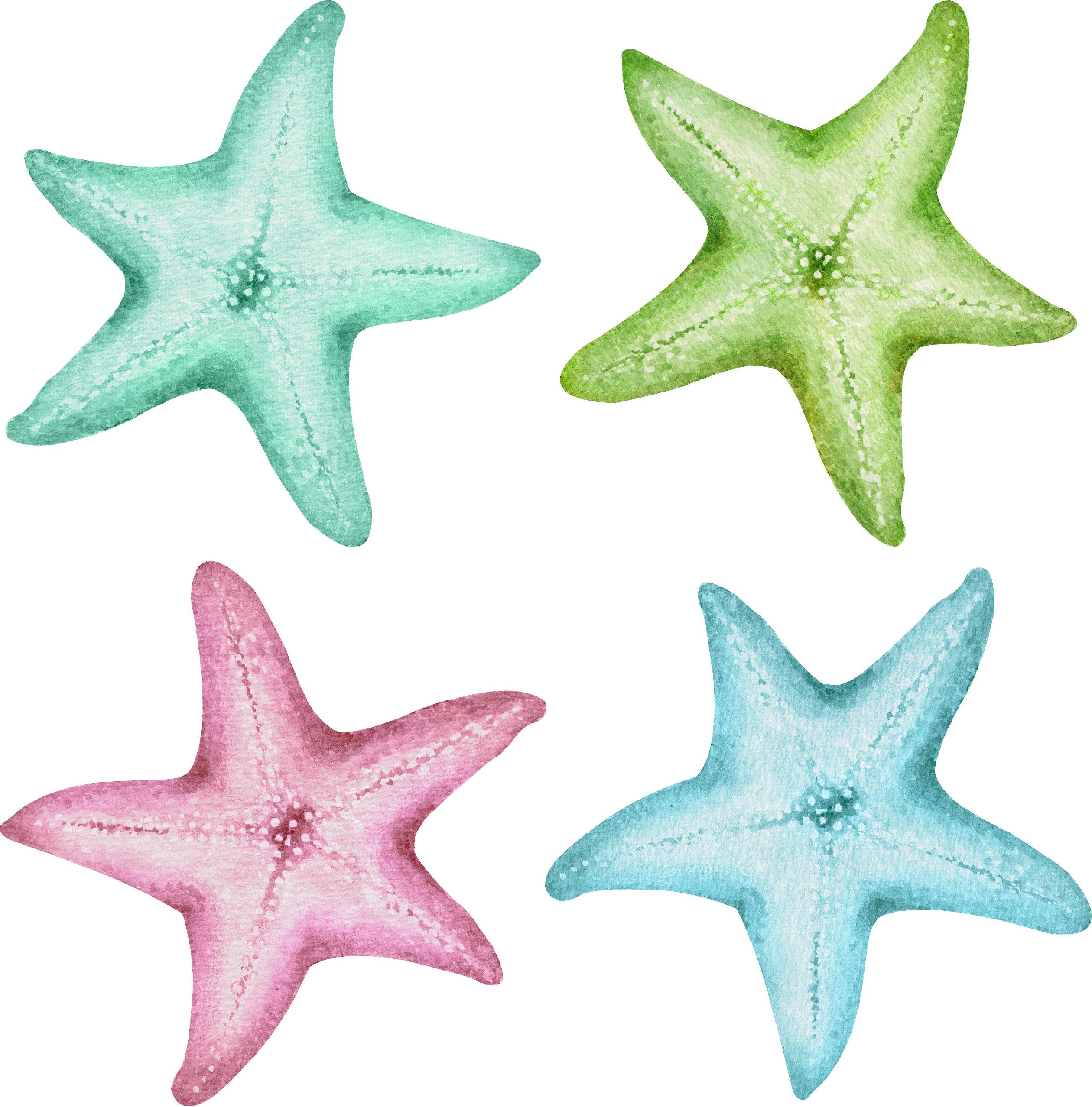 Watercolor Starfish Wall Decal Set of 4 Removable Pastel Sea Star Wall Sticker | DecalBaby