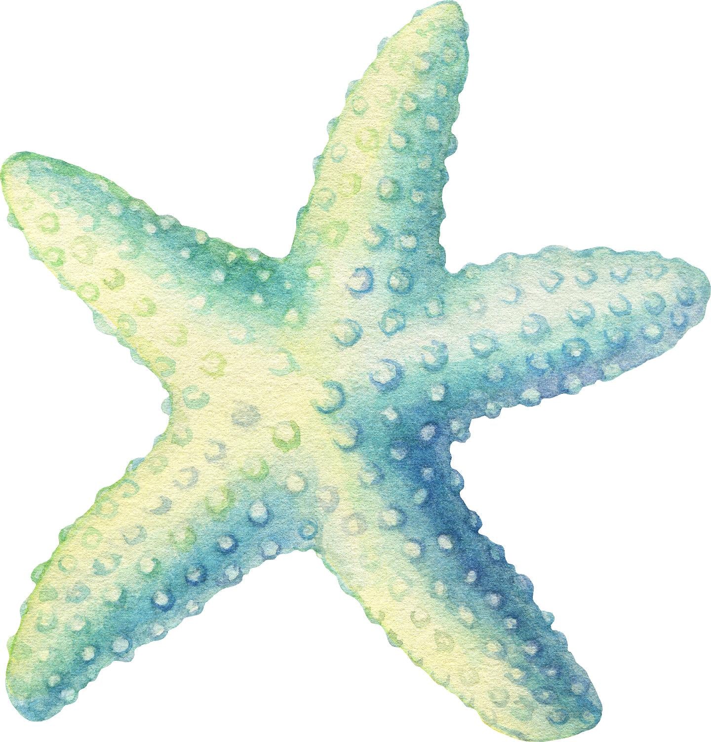 Watercolor Starfish #2 Wall Decal Removable Blue Green Yellow Sea Star Wall Sticker | DecalBaby