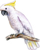 Yellow-Crested Cockatoo Parrot On Branch Wall Decal Safari Removable Fabric Wall Sticker | DecalBaby