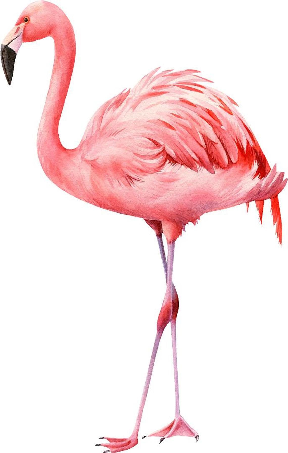Watercolor Pink Flamingo #1 Wall Decal Tropical Bird Safari Animal Wall Sticker | DecalBaby