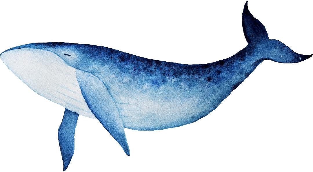 Watercolor Blue Whale Wall Decal Removable Sea Animal Fabric Vinyl Wall Sticker