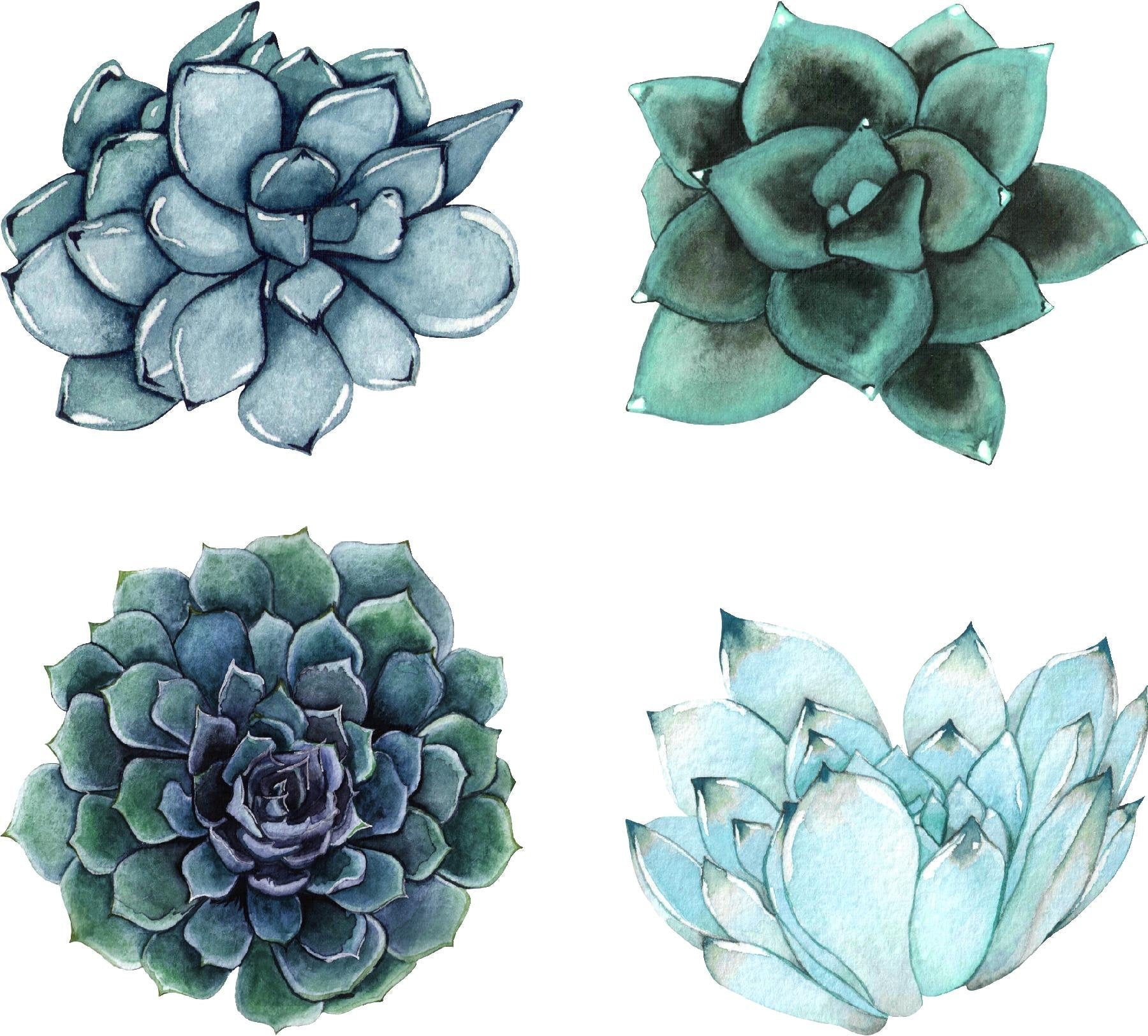 Watercolor Blue Succulents Wall Decal Set of 4 Floral Removable Fabric Vinyl Wall Stickers