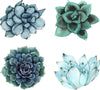Load image into Gallery viewer, Watercolor Blue Succulents Wall Decal Set of 4 Floral Removable Fabric Vinyl Wall Stickers