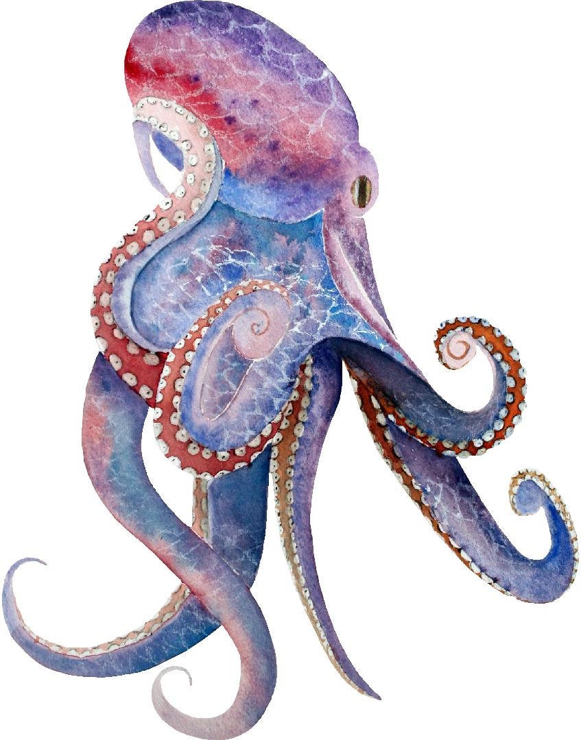 Watercolor Octopus Wall Decal Whimsical Removable Fabric Vinyl Wall Sticker