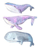 Load image into Gallery viewer, Watercolor Sleepy Whale Wall Decal Set Whimsical Removable Fabric Vinyl Wall Stickers