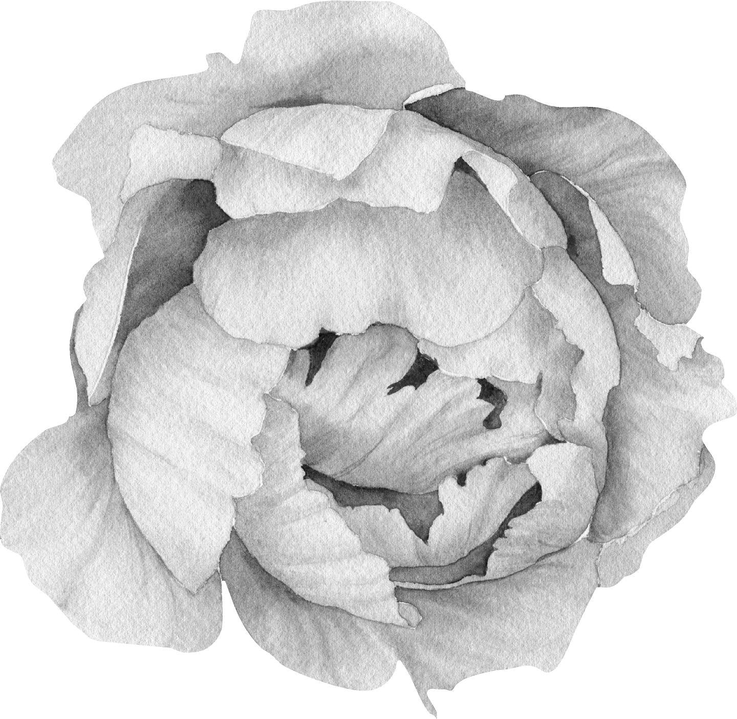 Black/White Peony #5 Wall Decal Removable Fabric Vinyl Flower Wall Sticker for Baby Girl Floral Nursery Room Decor