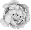 Black/White Peony #5 Wall Decal Removable Fabric Vinyl Flower Wall Sticker for Baby Girl Floral Nursery Room Decor