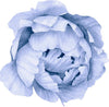 Blue Peony #11 Wall Decal Removable Fabric Vinyl Flower Wall Sticker for Baby Girl Floral Nursery Room Decor
