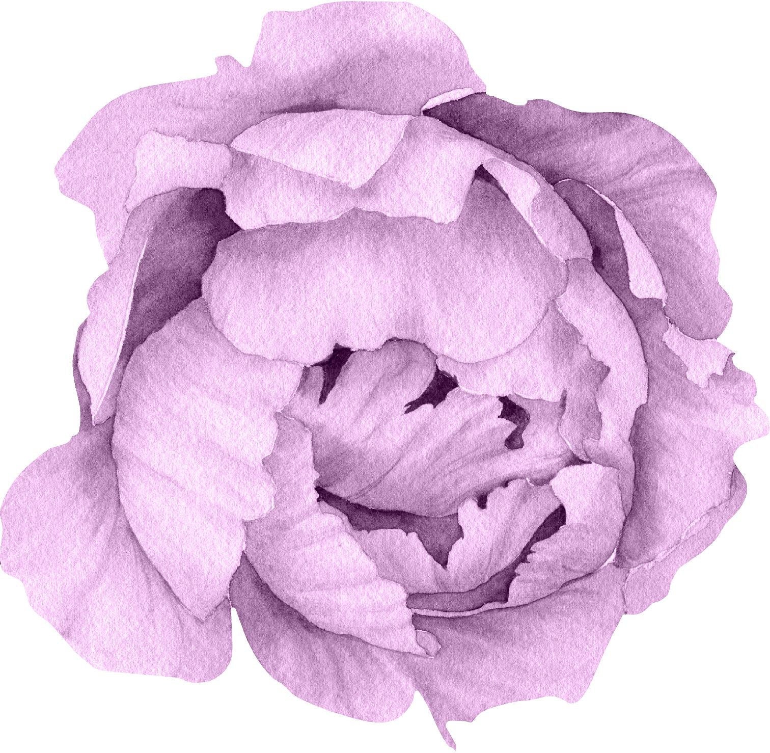 Purple Peony #15 Wall Decal Removable Fabric Vinyl Flower Wall Sticker for Baby Girl Floral Nursery Room Decor