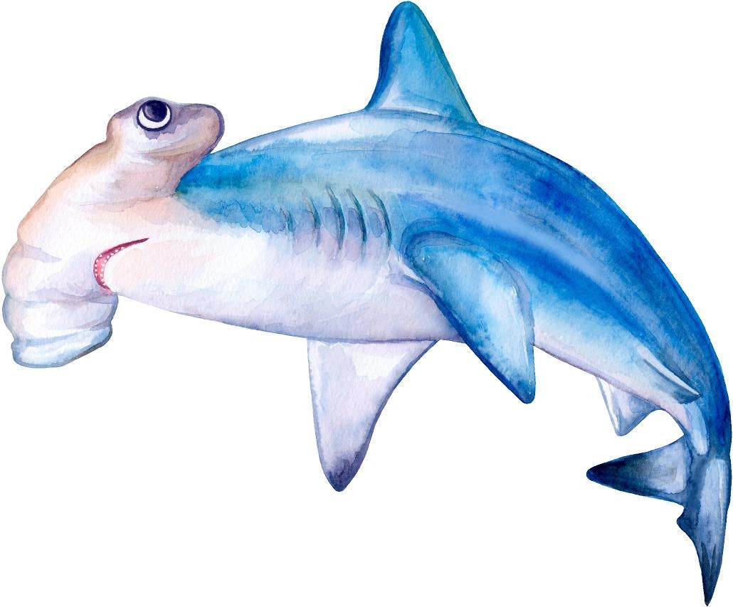 Hammerhead Shark Wall Decal Removable Watercolor Sea Animal Fabric Vinyl Wall Sticker