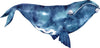 Load image into Gallery viewer, Watercolor Humpback Whale #2 Wall Decal Sea Animal Removable Fabric Vinyl Wall Sticker