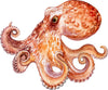 Watercolor Octopus #2 Wall Decal Deep Sea Animal Removable Fabric Vinyl Wall Sticker