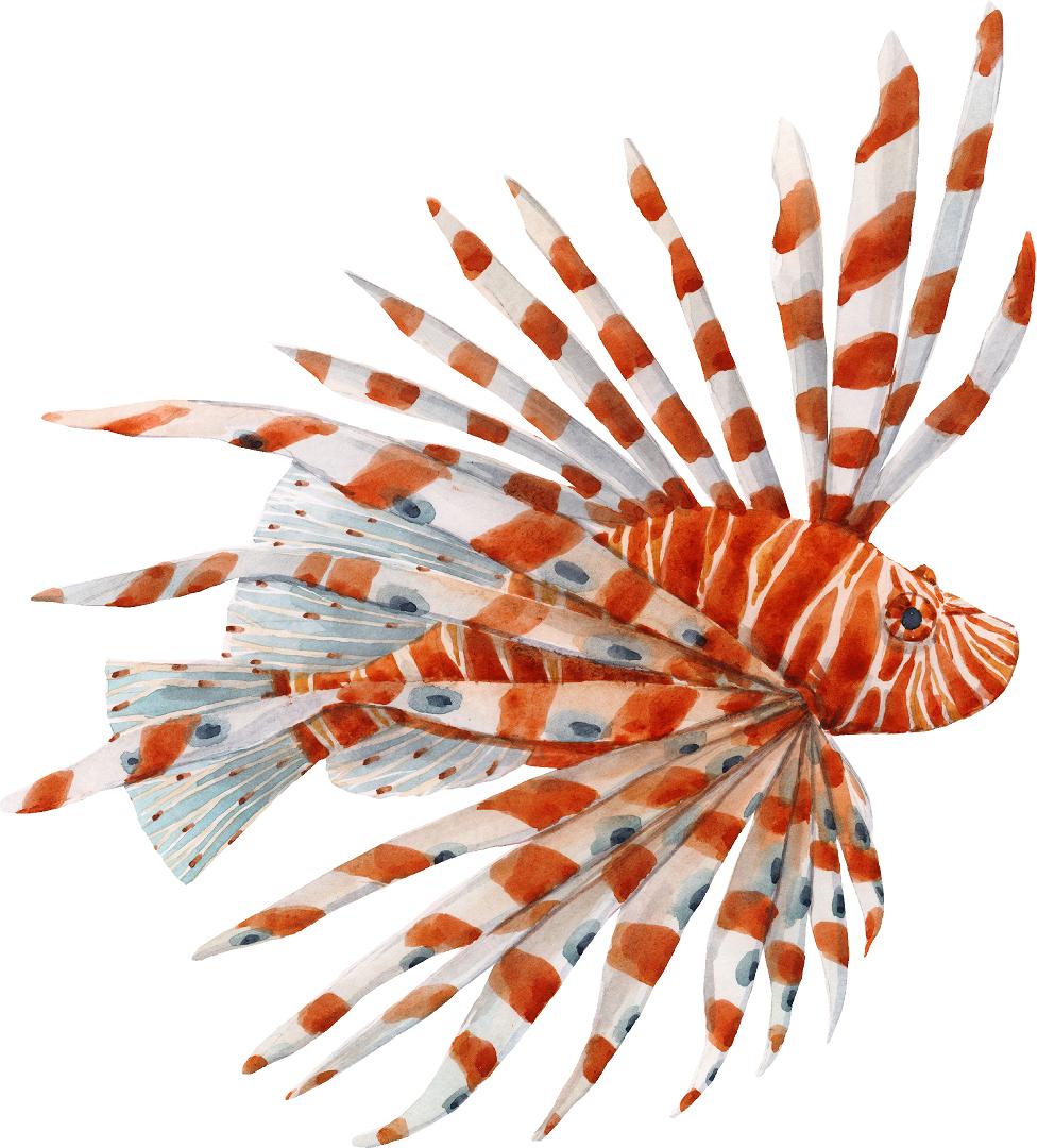 Exotic Lionfish #4 Fish Wall Decal Tropical Fish Ocean Removable Fabric Wall Sticker | DecalBaby